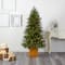 6ft. Pre-Lit Manchester Fir Artificial Christmas Tree, Clear LED Lights